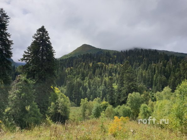 2019-09-08 11-36-39