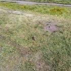2021-06-26_14-29-51_SM-A125F
